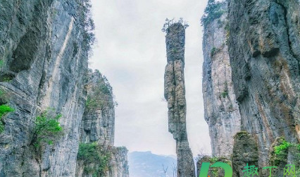 抖音机票盲盒怎么买