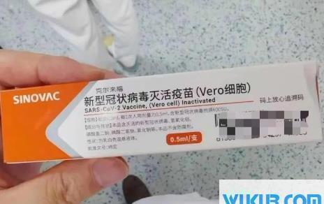 我国疫苗多久研发出来