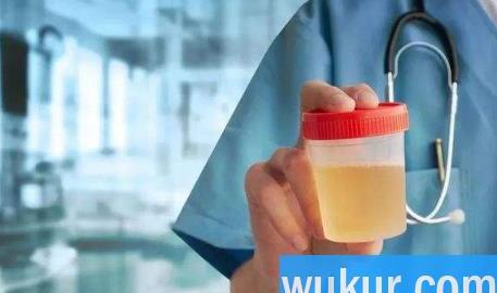 大量喝水一个星期尿酸低了真的假的