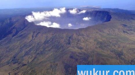 网传汤加火山爆发致扇贝涌入獐子岛真的假的