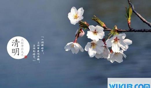 清明节有什么习俗