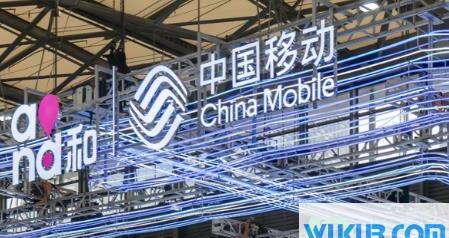 10085按了1就是办理业务了吗