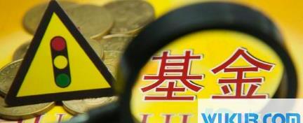基金全是坑大家最好不要买真的吗