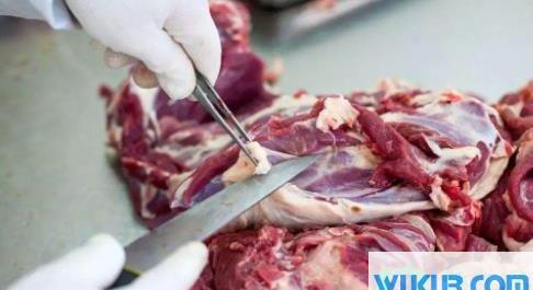 瘦肉精羊肉怎样识别