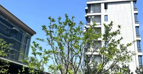 9月25号房贷降息能降多少钱