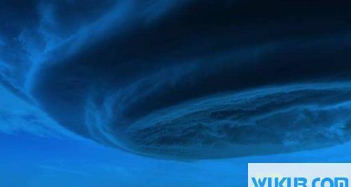 2023年属兔的是什么命