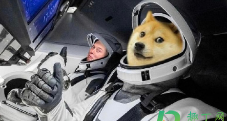 2021为什么狗狗币大涨
