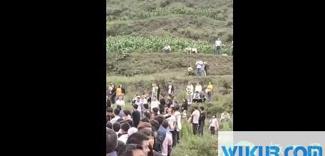 威宁秀水龙叫是真的吗
