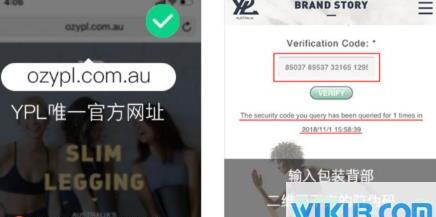 ypl小狗裤真假对比图