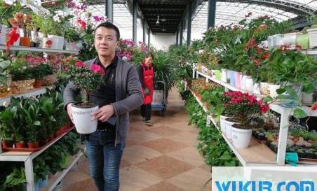 花卉市场买花注意什么