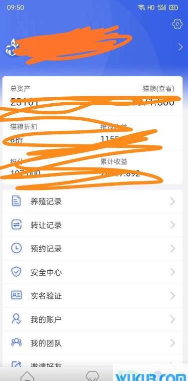 喵喵app养猫赚钱正规吗