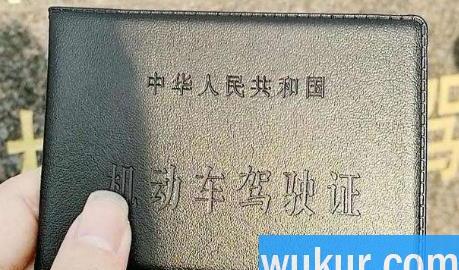 如何快速拿到驾照