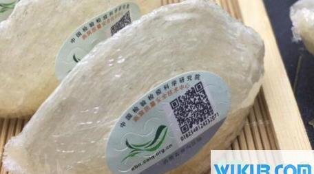 燕窝溯源码可以伪造吗