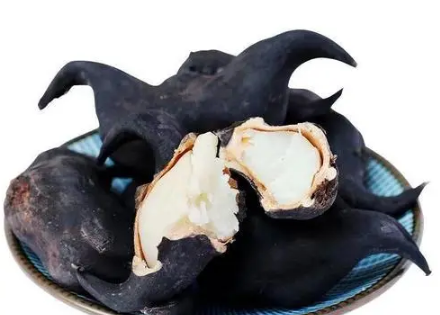 菱角老了怎么煮