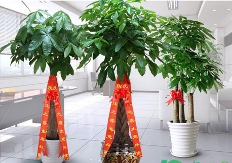 搬家送什么礼物好