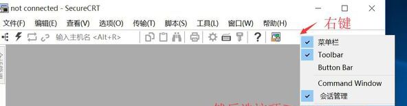 SecureCRT（终端仿真）