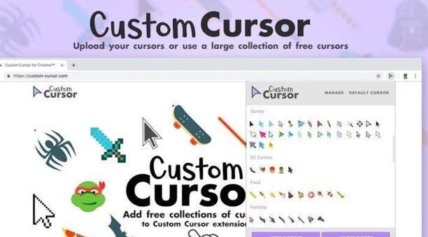 Custom